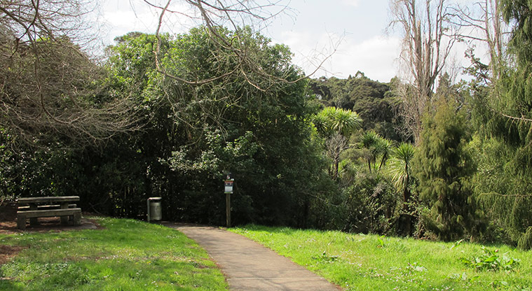 Opanuku Path - Alternative start point from Border Road.