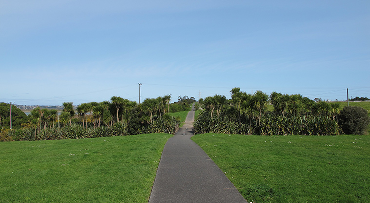 Orangihina Path - Typical section of the path.