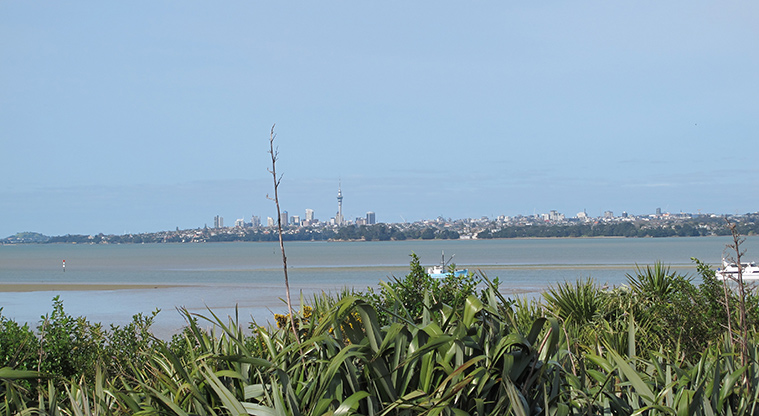 Orangihina Path - Great views across the Waitematā Harbour.