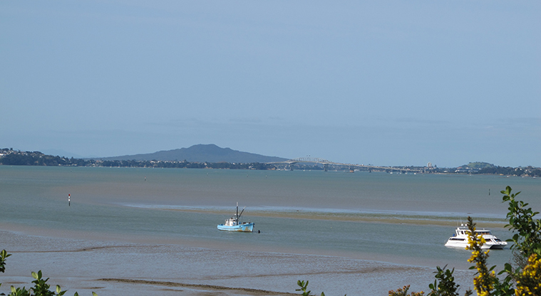 Orangihina Path - Views out to Rangitoto Island.