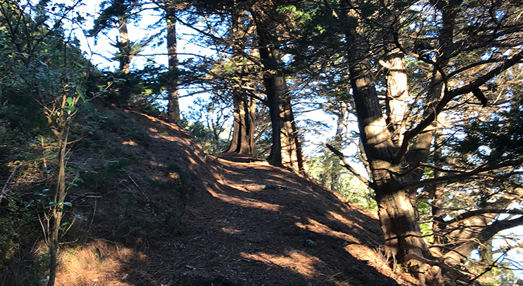 Orapiu to Pearl Bay Path - The track crosses a headland and winds its way down to remote Pearl Bay.