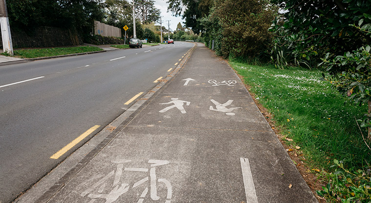 Oratia Stream Path - Typical shared section of the path.