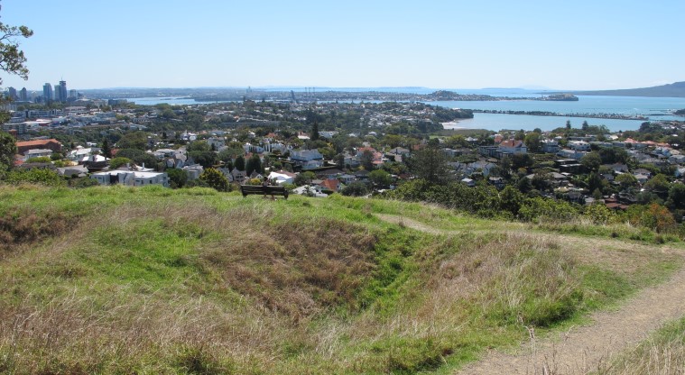 Ōhinerau / Mt Hobson Path - Remains of kūmara pits. Please keep out of these areas.