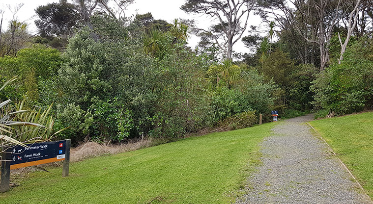 Ōmana Perimeter Path - Path start point.