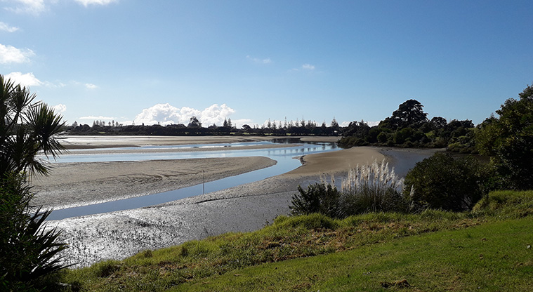 Te Ara Tahuna / Ōrewa Estuary Path - A view over the Orewa Estuary from the southern shore.