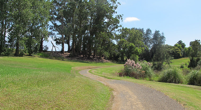 Ōtara Path - The path runs through pockets of established trees.