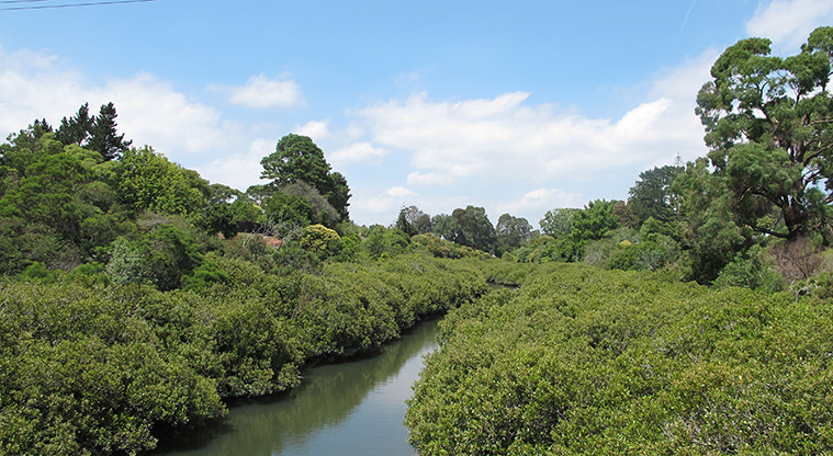 Ōtara Path - View over Ōtara Creek from Johnstones Road access bridge.
