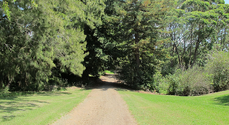 Ōtara Path - Path heading into Ngati Ōtara Park.