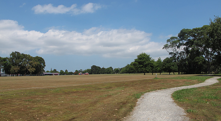 Ōtara Path - Last part of the path through Ngati Ōtara Park.