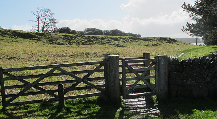 Ōtuataua Stonefields Path - The start of the path.