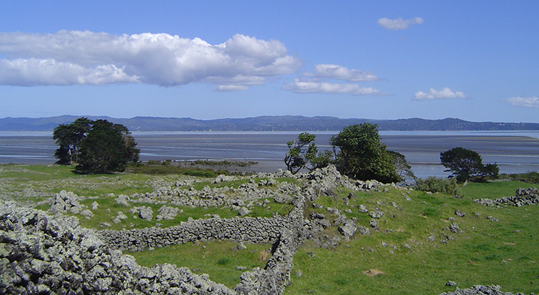 Ōtuataua Stonefields Path