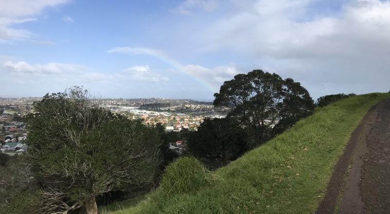 Ōwairaka / Te Ahi-kā-a-Rakataura / Mt Albert Path - A steep section of the summit road with views across the Auckland isthmus.
