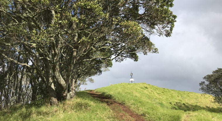 Ōwairaka / Te Ahi-kā-a-Rakataura / Mt Albert Path - Narrow man-made track leading up to the summit. Please stick to the formed, sealed paths as walking off-track causes the slopes to erode.