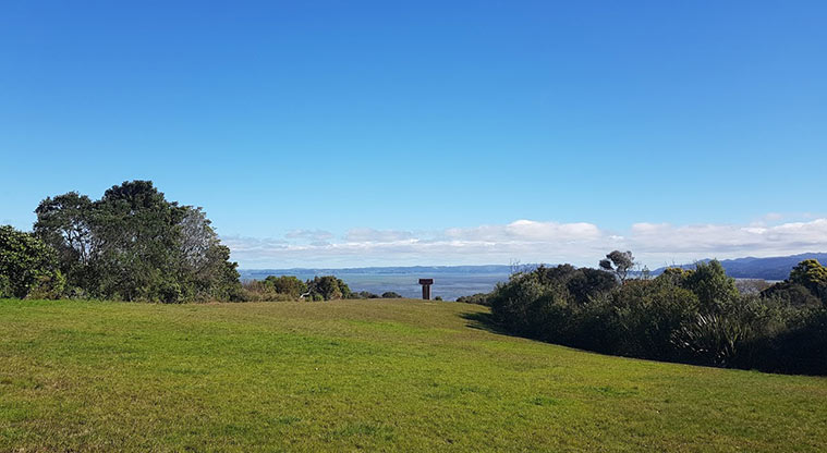 Pae-mohani / Manukau Domain Path - First part of path is across grass. Head for the sculpture in the background