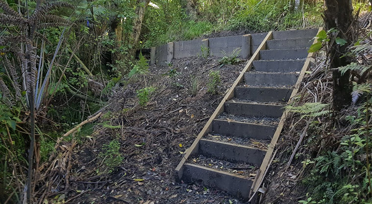 Pae-mohani / Manukau Domain Path - Starting back on the loop requires climbing a number of stairs