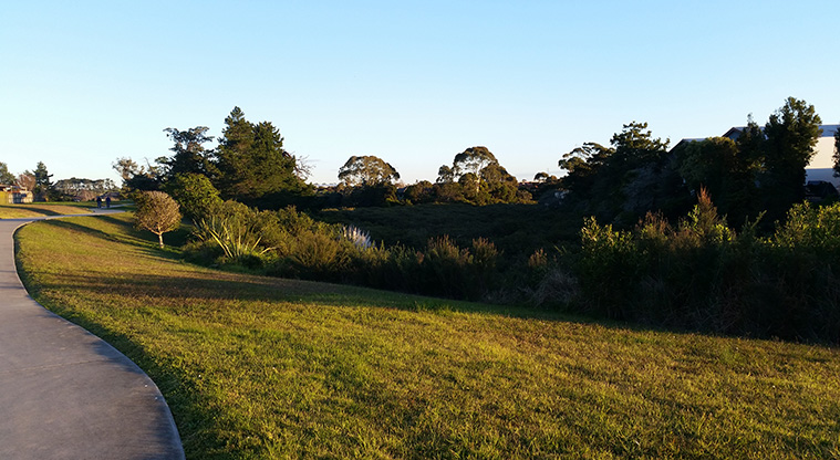 Pakuranga Creek Path - The path captures the sun during the early morning.