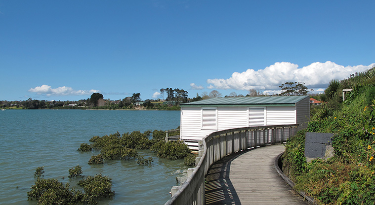Pakuranga Rotary Path - Boardwalk alongside boat sheds and under pōhutukawa trees.