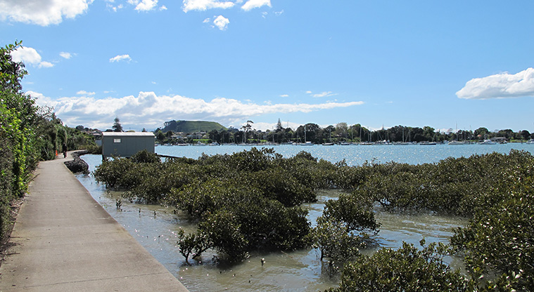 Pakuranga Rotary Path - Views back to Maungarei.