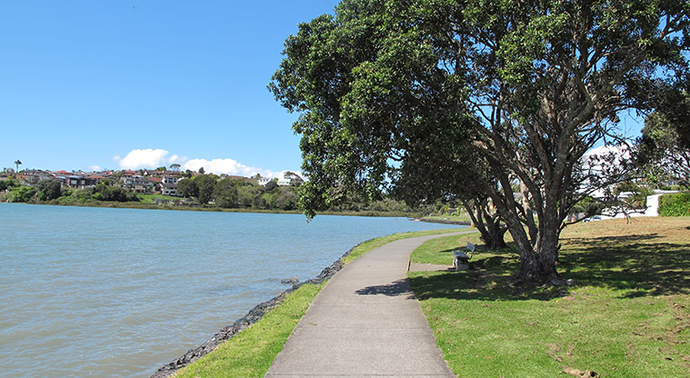 Pakuranga Rotary Path - Seating in the shade.