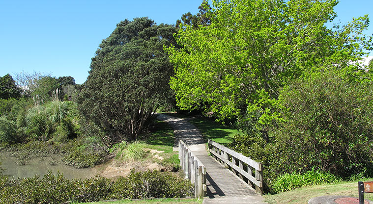 Pakuranga Rotary Path - Continue on the path alongside Wakaaranga Creek.