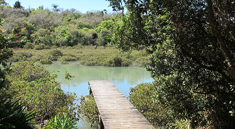 Pakuranga Rotary Path - Tranquil places to stop.