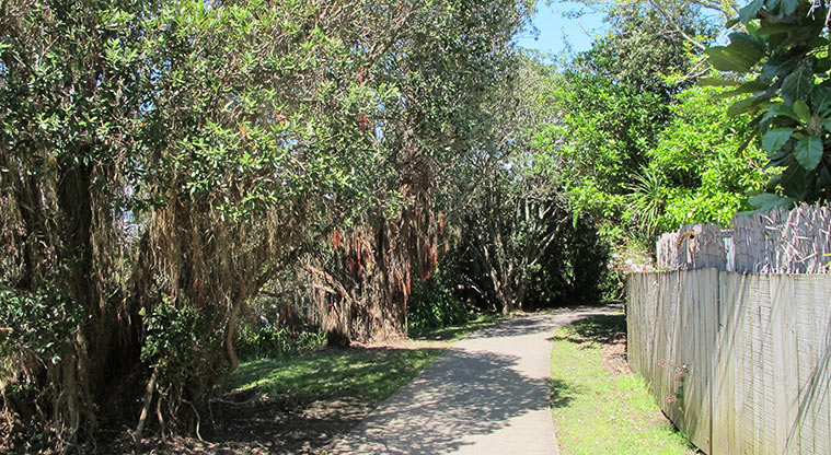 Pakuranga Rotary Path - Ride through grove of pōhutukawa.