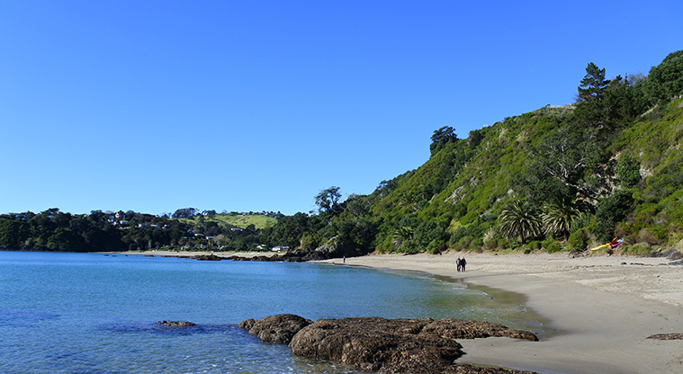 Palm Beach Lookout Path