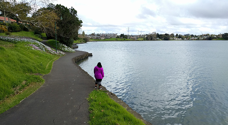 Panmure Basin Path - View of the path over Panmure Basin (Photo Credit: Courtney Brown).