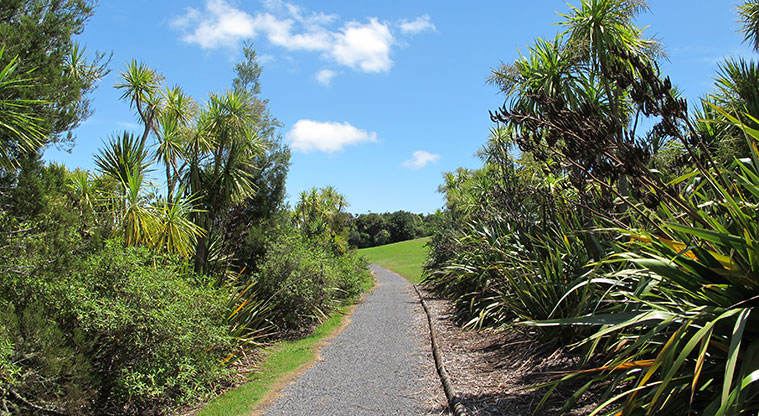 Paremuka Lakeside Path - Typical gravel section of the path.
