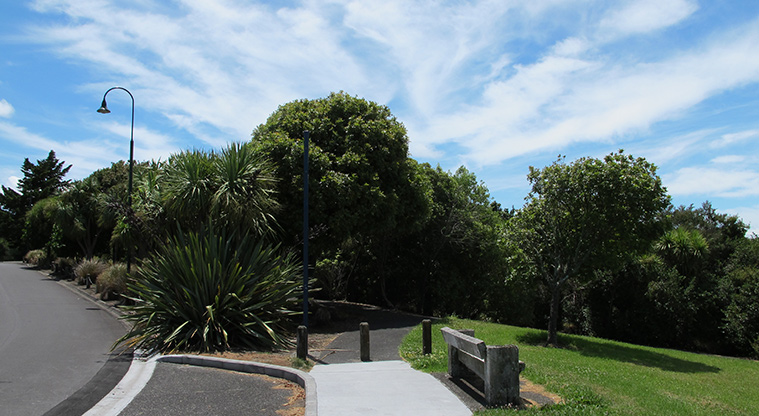 Paremuka Lakeside Path - Access from Charlenne Close.