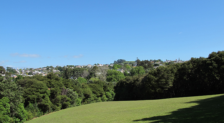 Parnell Path - Ayr Reserve dog exercise area.