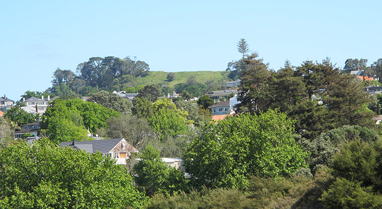 Parnell Path - Views to Ōhinerau/Mount Hobson.