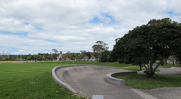 Parrs Park Path - Skateboard / scooter feature.