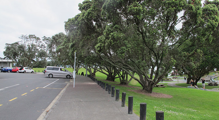 Point Chevalier Path - Path start adjacent to carpark in Coyle Park.