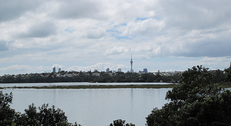 Point Chevalier Path - City views from Coyle Park.