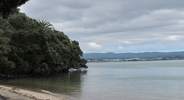 Point Chevalier Path - Beach with tide in.