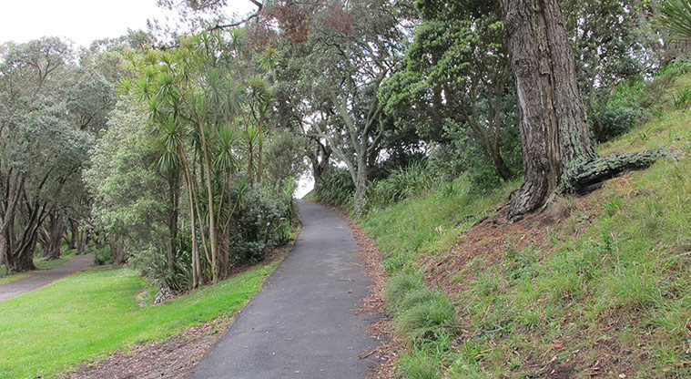 Point Chevalier Path - Path up from beach to Harbour View Road.