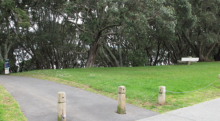 Point Chevalier Path - Entry from Harbour View Road.