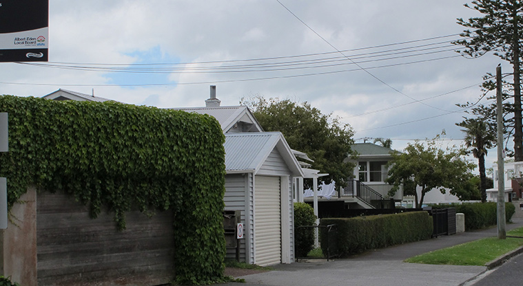 Point Chevalier Path - Joan Street footpath.