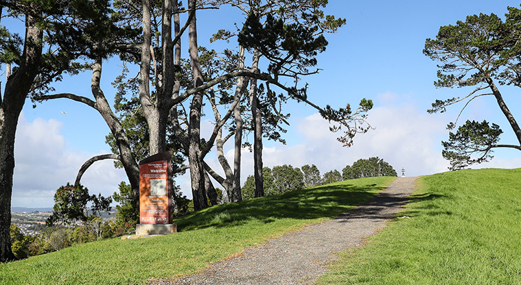 Point View Bush Path - The start of the path at the car park area.