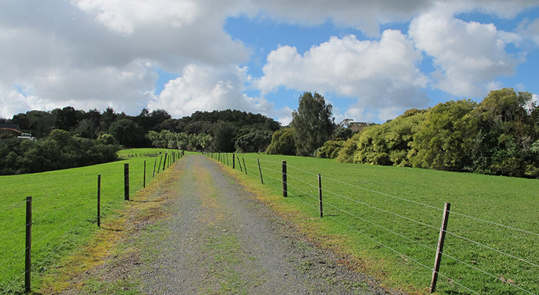 Point View Lookout Path - Access starts at and through Gracechurch Reserve.