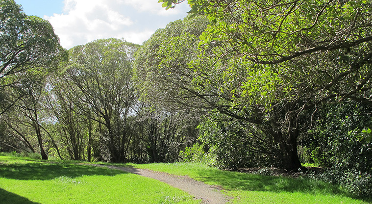 Point View Lookout Path - Once you are past th reservoir take the left track at the top of the Watercare access driveway.