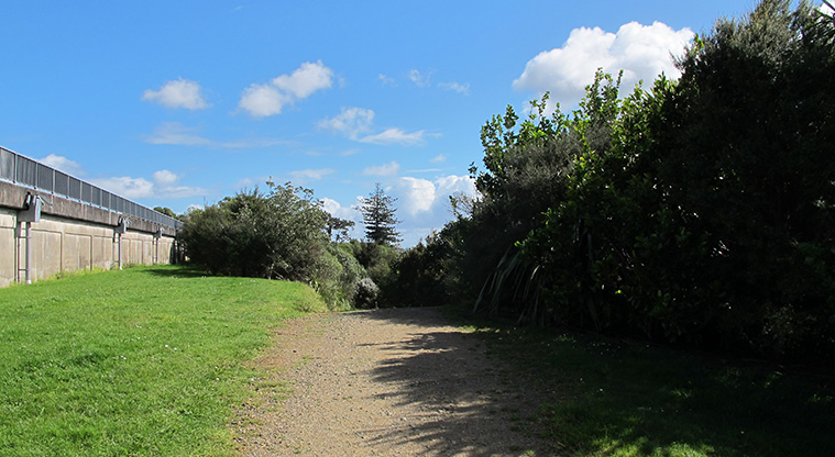 Point View Lookout Path - Section of path behind the water reservoir.