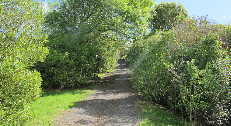 Point View Lookout Path - Take the less steep path to the lookout point.