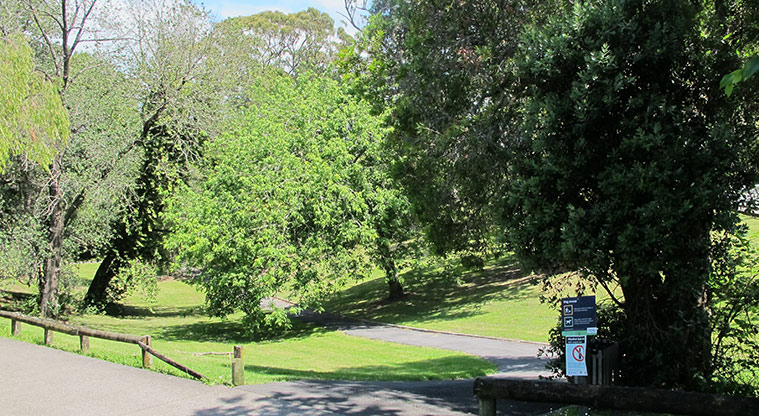 Ponsonby to Victoria Park Path - Path start from Sarsfield Street