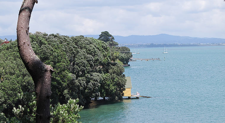Ponsonby to Victoria Park Path - View over Masefield Beach and boat sheds