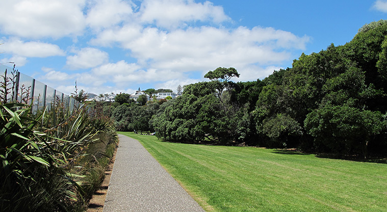 Ponsonby to Victoria Park Path - Path runs alongside St Marys Bay cliff line