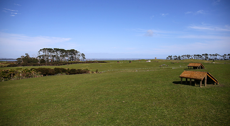 Puhinui Path - An open expansive farm environment.
