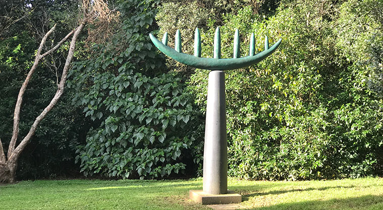 Pukekawa Centennial Glade Path- Charlotte Fisher, Arc (2004) Edmiston Trust Collection.