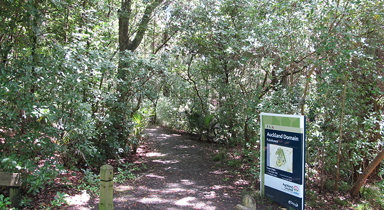 Pukekawa Centennial Glade Path - Entrance onto Glade Path from Lovers Lane.